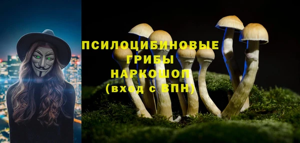 скорость mdpv Заводоуковск