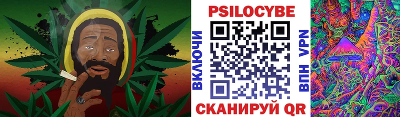 Псилоцибиновые грибы мицелий  Купить закладки  Кисловодск 