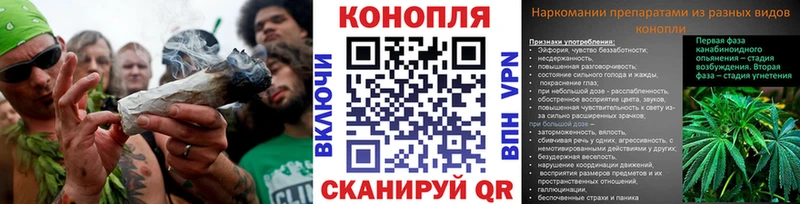 Каннабис конопля  Купить  Кисловодск 